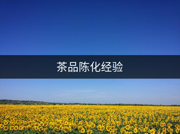 茶品陳化經(jīng)驗(yàn) 茶品陳化經(jīng)驗(yàn)