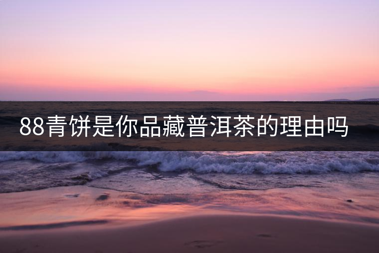 88青餅是你品藏普洱茶的理由嗎？