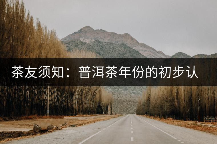 茶友須知：普洱茶年份的初步認(rèn)識方法