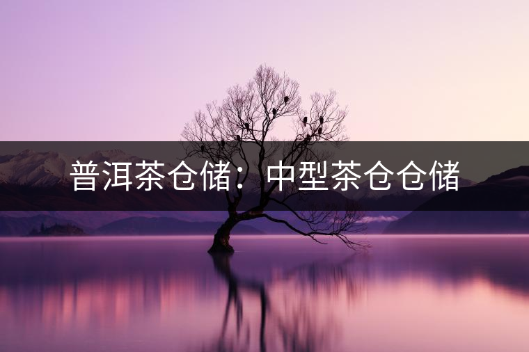 普洱茶倉(cāng)儲(chǔ):中型茶倉(cāng)倉(cāng)儲(chǔ) 普洱茶倉(cāng)儲(chǔ):中型茶倉(cāng)倉(cāng)儲(chǔ)