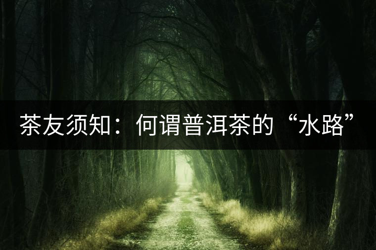 茶友須知：何謂普洱茶的“水路”？