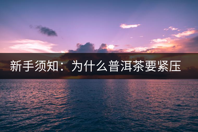 新手須知：為什么普洱茶要緊壓而不散存？