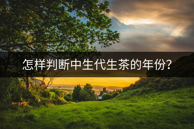 怎樣判斷中生代生茶的年份？