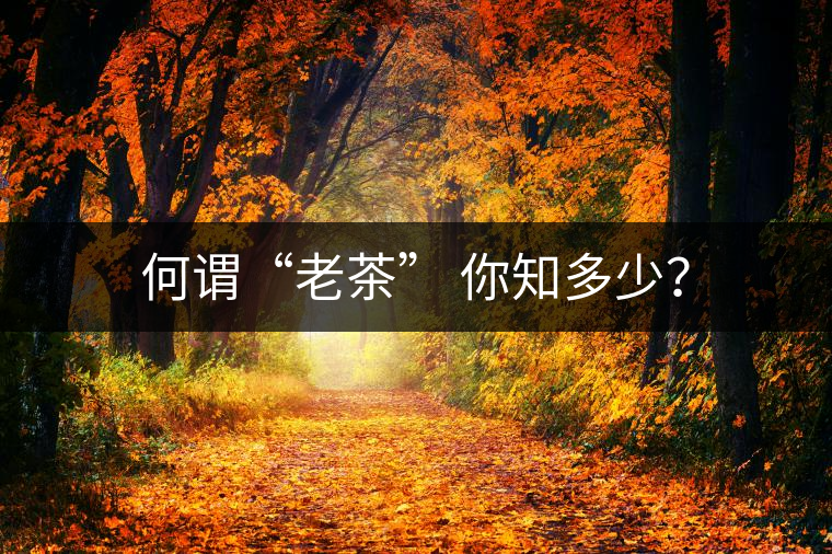 何謂“老茶” 你知多少？