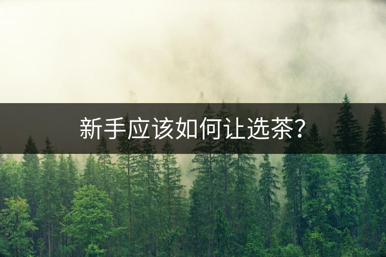 新手應該如何讓選茶？