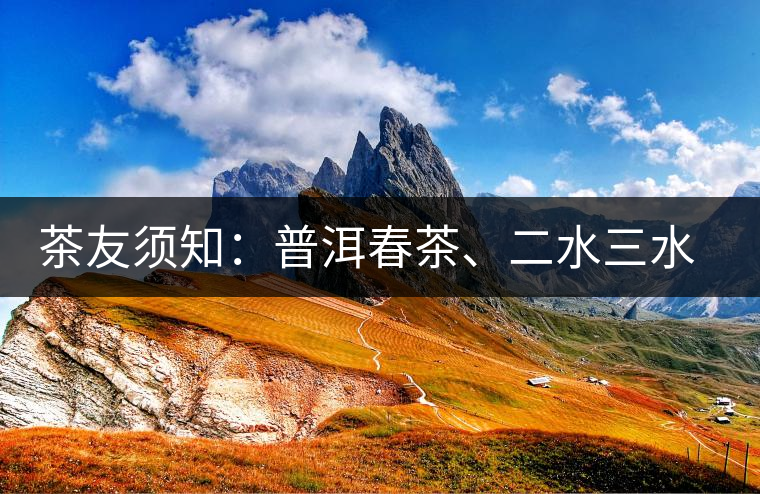 茶友須知：普洱春茶、二水三水茶和谷花茶