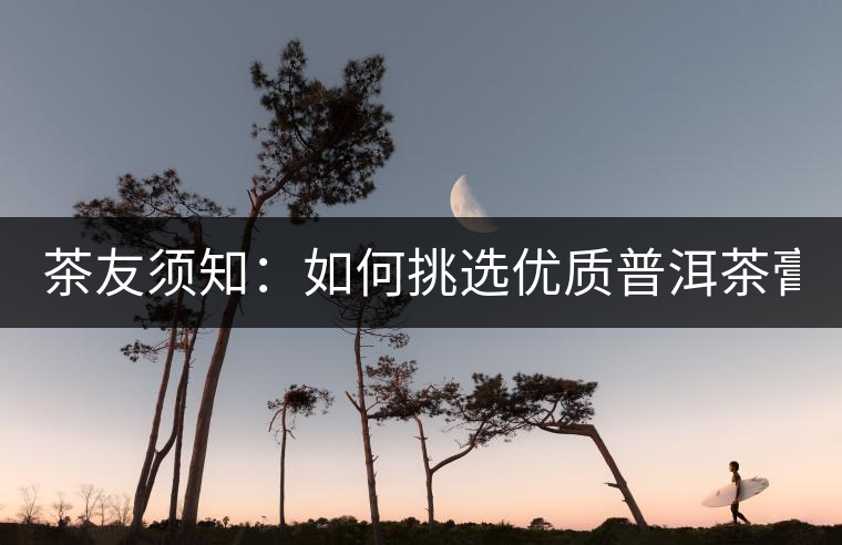 茶友須知：如何挑選優(yōu)質(zhì)普洱茶膏？