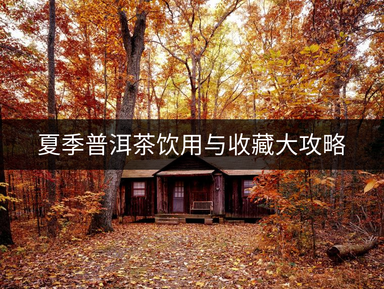 夏季普洱茶飲用與收藏大攻略