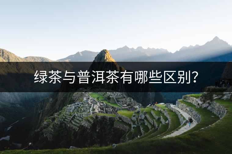 綠茶與普洱茶有哪些區(qū)別？