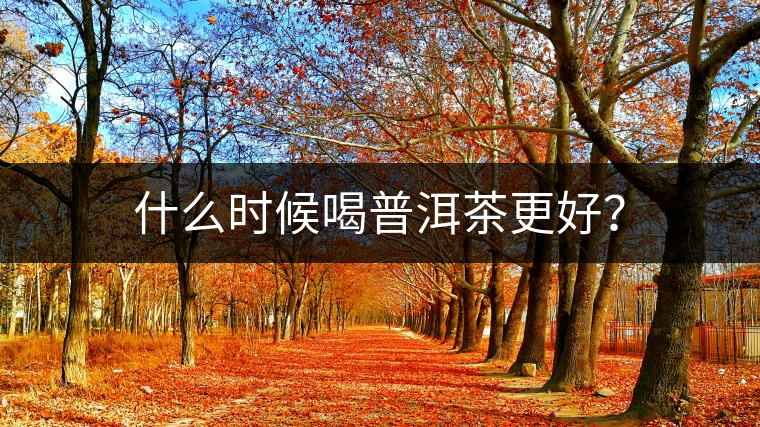 什么時候喝普洱茶更好？