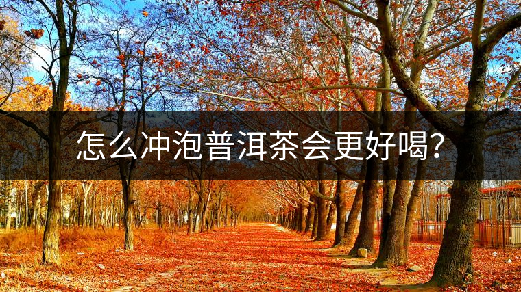 怎么沖泡普洱茶會(huì)更好喝？