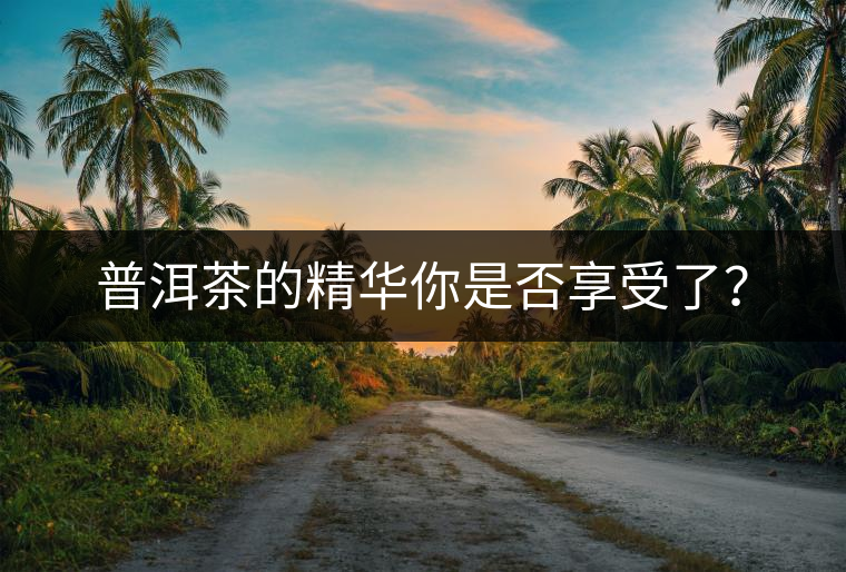普洱茶的精華你是否享受了？