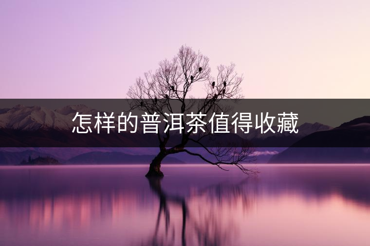 怎樣的普洱茶值得收藏 怎樣的普洱茶值得收藏