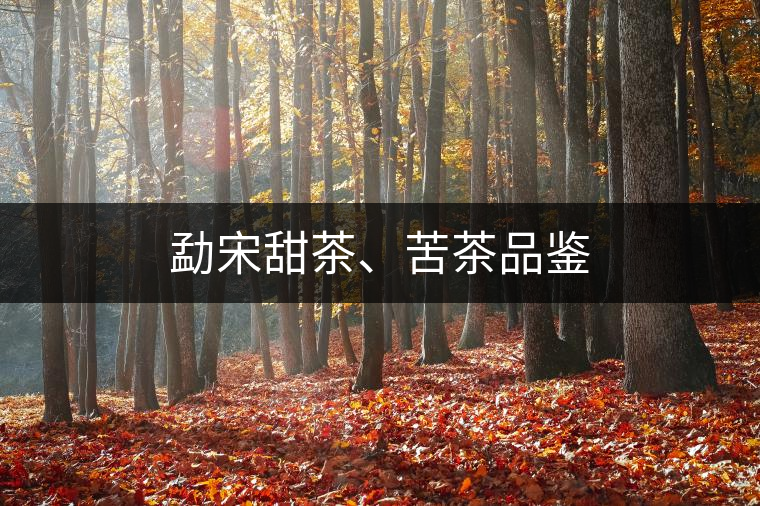 勐宋甜茶、苦茶品鑒