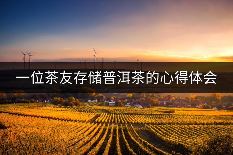 一位茶友存儲普洱茶的心得體會