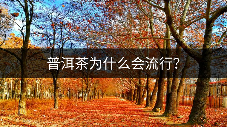 普洱茶為什么會(huì)流行？