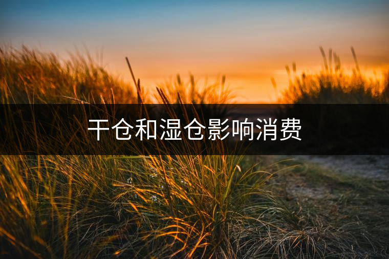 干倉(cāng)和濕倉(cāng)影響消費(fèi) 干倉(cāng)和濕倉(cāng)影響消費(fèi)