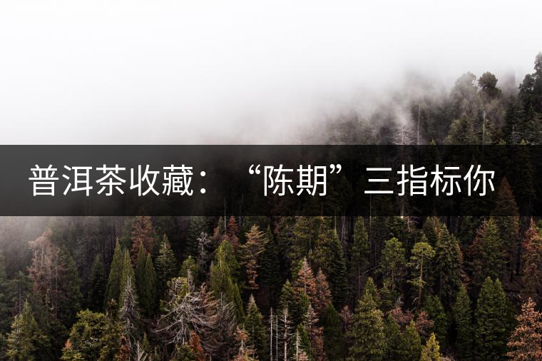 普洱茶收藏：“陳期”三指標(biāo)你知道嗎？