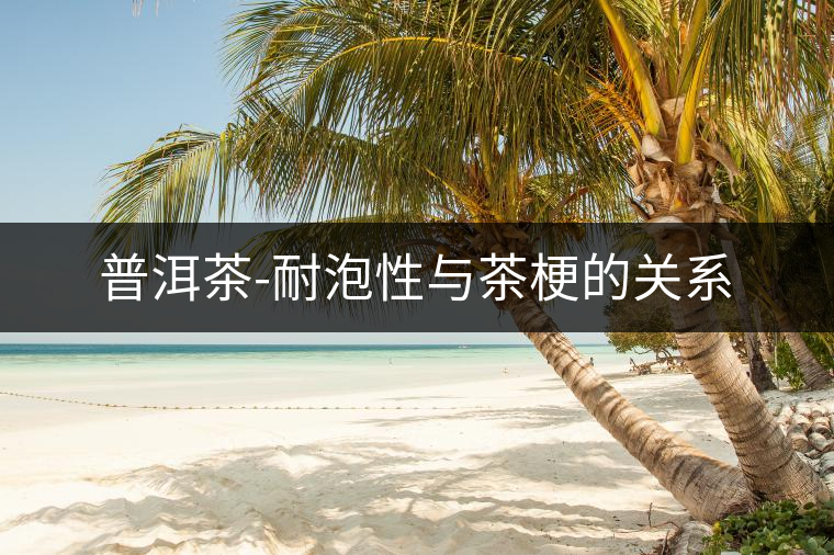 普洱茶-耐泡性與茶梗的關系