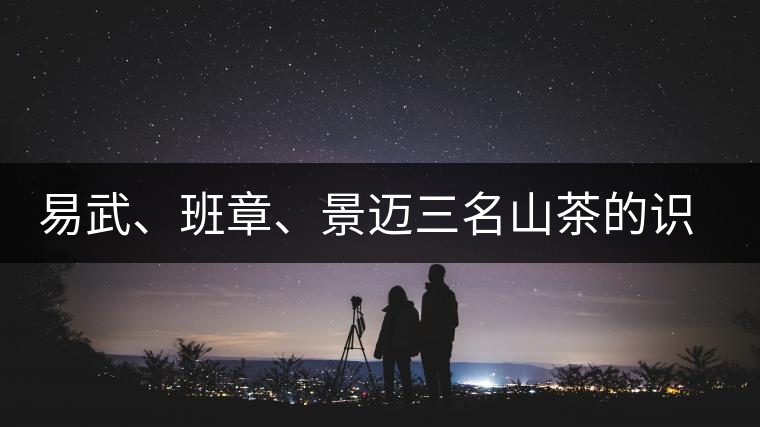 易武、班章、景邁三名山茶的識別