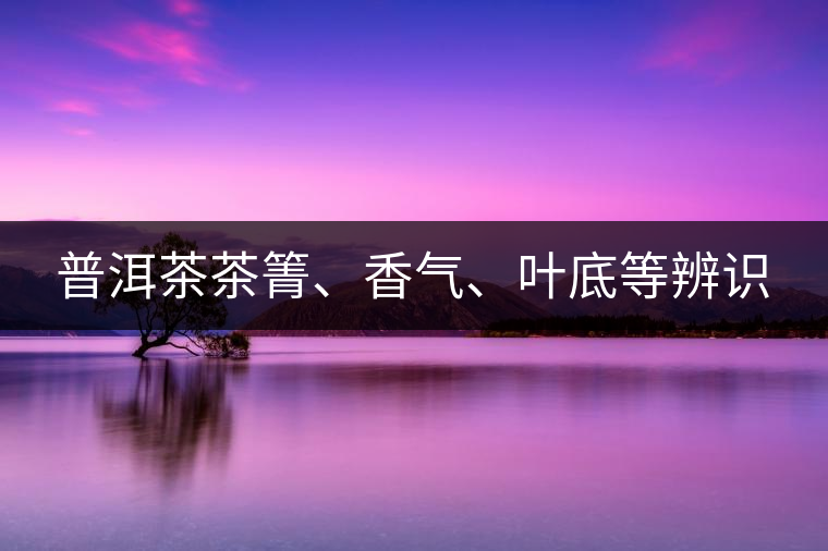 普洱茶茶箐、香氣、葉底等辨識(shí)