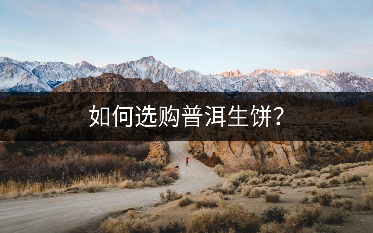 如何選購(gòu)普洱生餅？