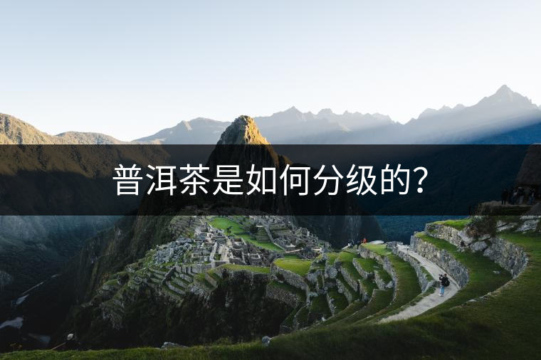 普洱茶是如何分級的？