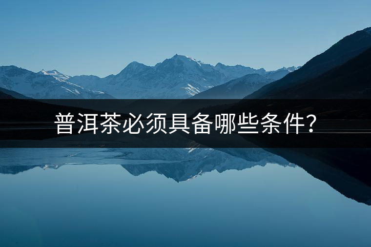 普洱茶必須具備哪些條件？
