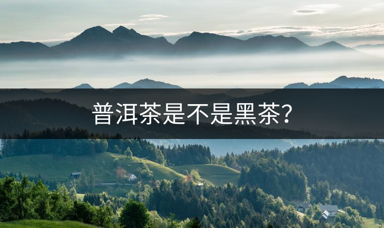 普洱茶是不是黑茶？