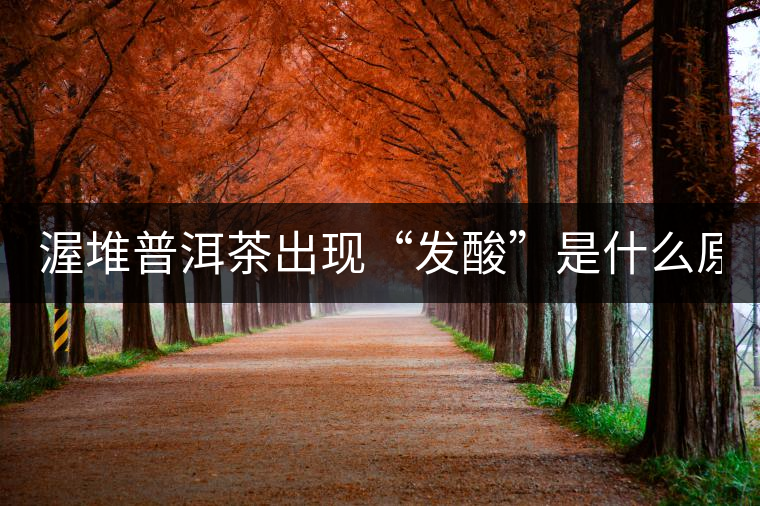 渥堆普洱茶出現(xiàn)“發(fā)酸”是什么原因？