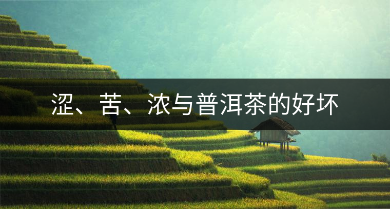 澀、苦、濃與普洱茶的好壞