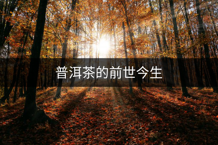 普洱茶的前世今生