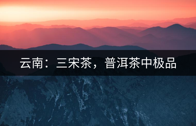 云南：三宋茶，普洱茶中極品