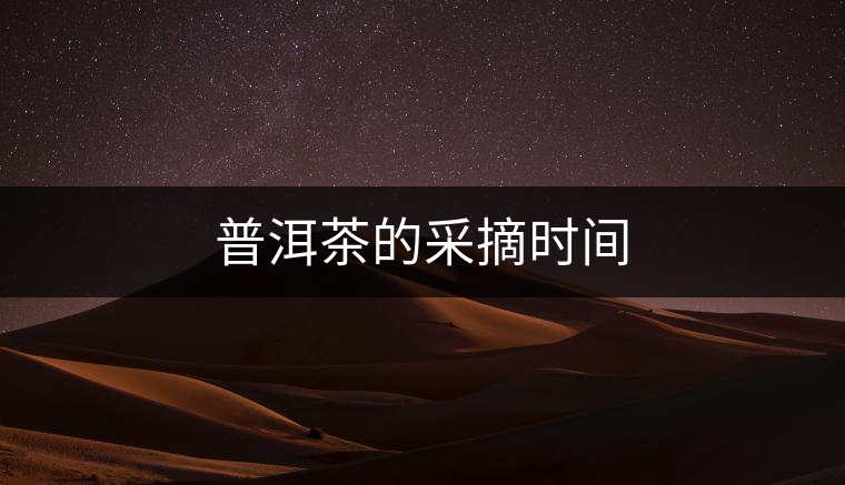 普洱茶的采摘時間 普洱茶的采摘時間
