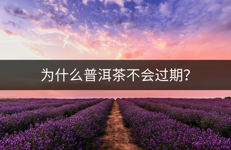 為什么普洱茶不會過期？