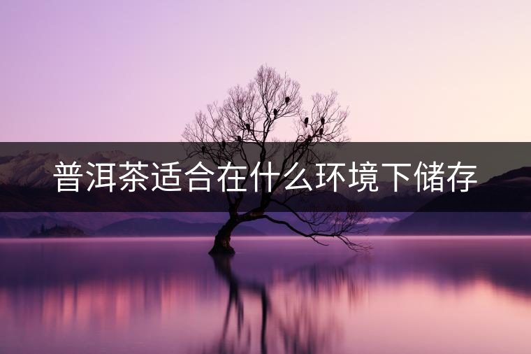 普洱茶適合在什么環(huán)境下儲(chǔ)存 普洱茶適合在什么環(huán)境下儲(chǔ)存