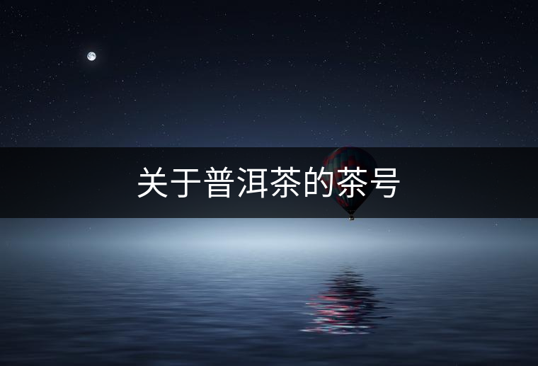 關于普洱茶的茶號