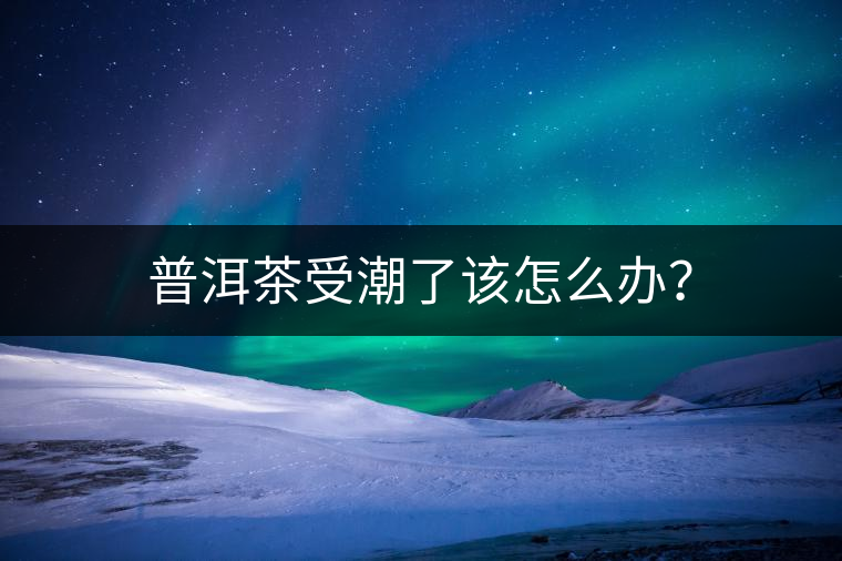 普洱茶受潮了該怎么辦？