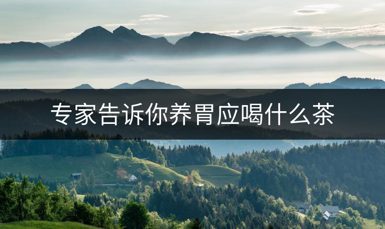 專家告訴你養(yǎng)胃應(yīng)喝什么茶