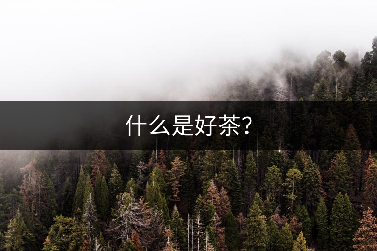 什么是好茶？