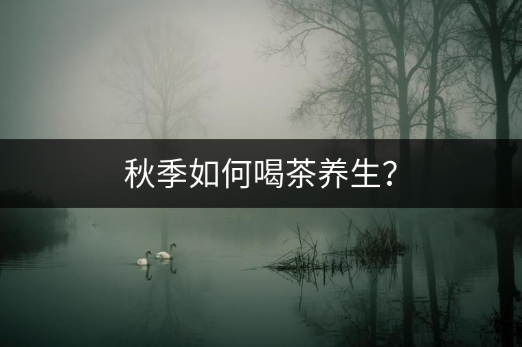 秋季如何喝茶養(yǎng)生? 秋季如何喝茶養(yǎng)生?