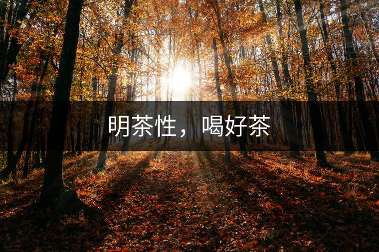明茶性，喝好茶