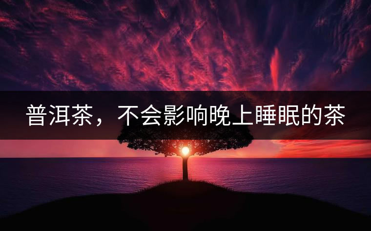 普洱茶，不會(huì)影響晚上睡眠的茶
