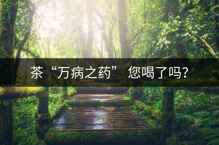 茶“萬病之藥” 您喝了嗎？