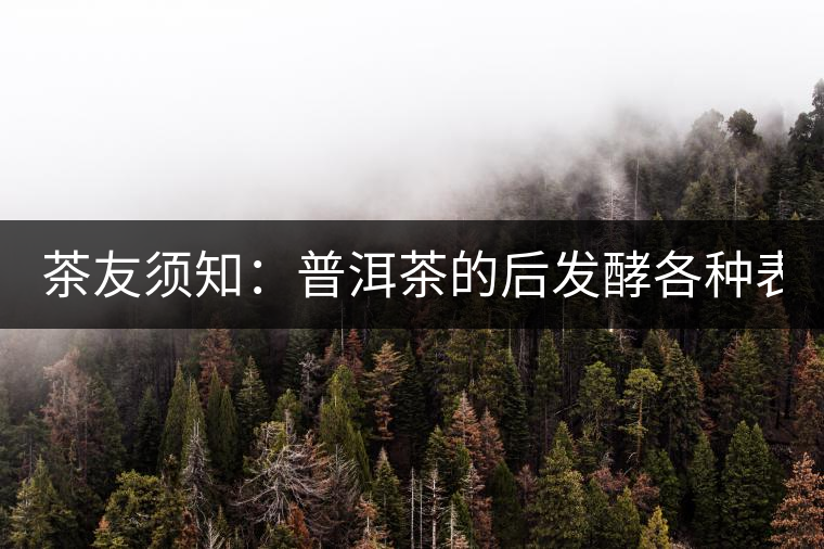 茶友須知：普洱茶的后發(fā)酵各種表現(xiàn) 喝普洱有益健康的奧妙所在！