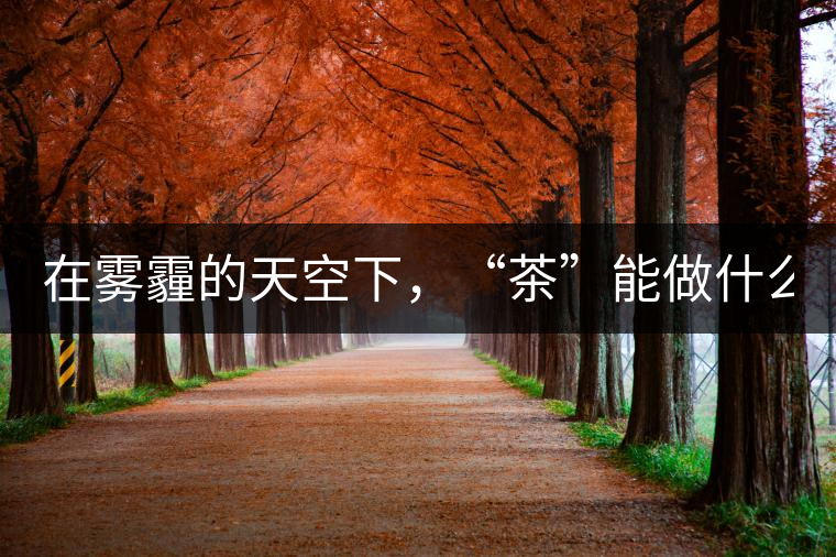 在霧霾的天空下，“茶”能做什么？