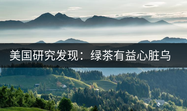 美國研究發(fā)現:綠茶有益心臟烏龍茶瘦腰身 美國研究發(fā)現:綠茶有益心臟烏龍茶瘦腰身