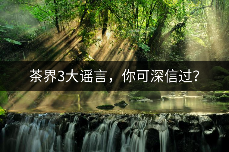 茶界3大謠言，你可深信過？