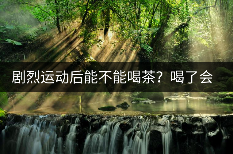 劇烈運(yùn)動(dòng)后能不能喝茶？喝了會(huì)有什么不適？
