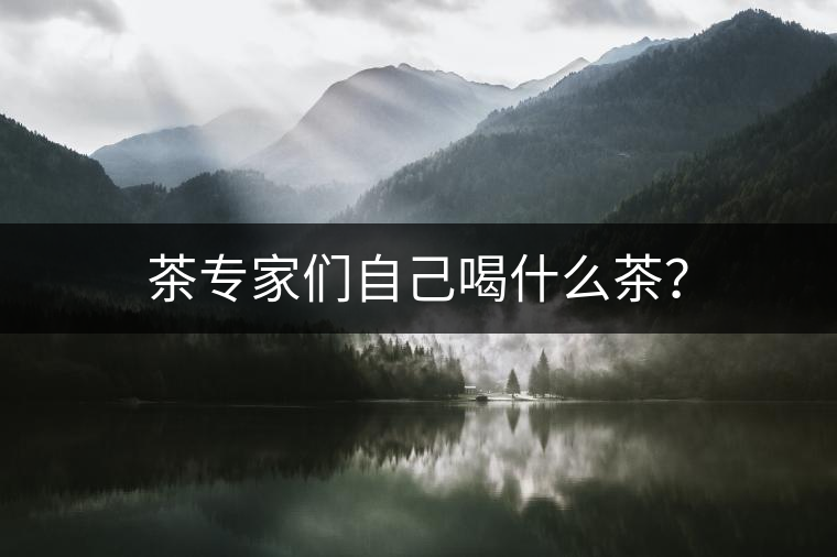 茶專(zhuān)家們自己喝什么茶？
